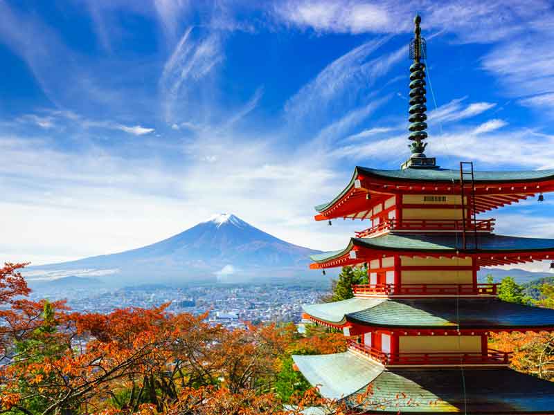 Our story in Japan